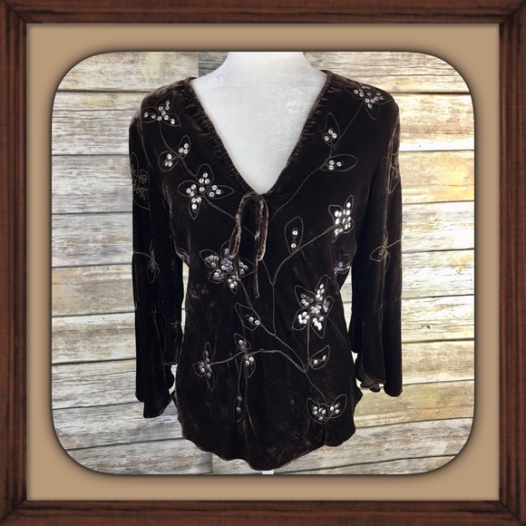 Alexandra Bartlett Tops - Alexandra Bartlett Brown Embroidered Velvet Blouse